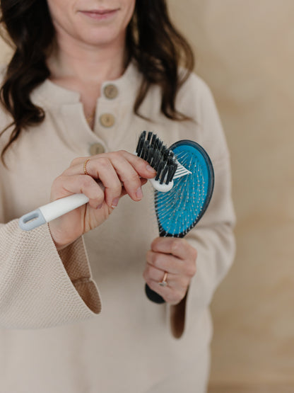 Brush Cleaning Tool