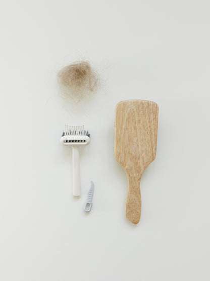 Brush Cleaning Tool