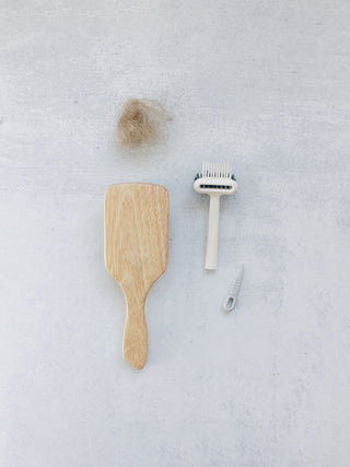 FLAWED Brush Cleaning Tool