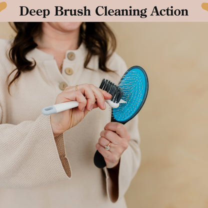 Brush Cleaning Tool