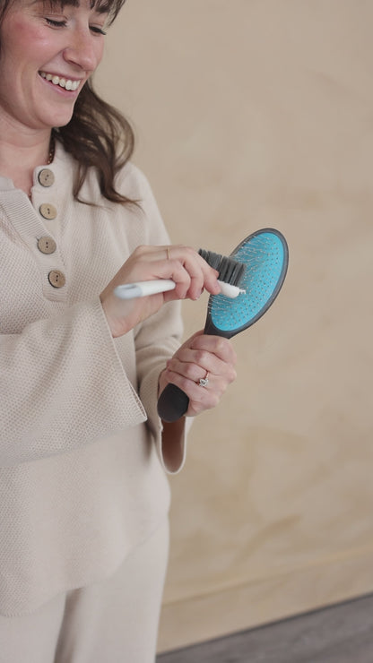 Brush Cleaning Tool